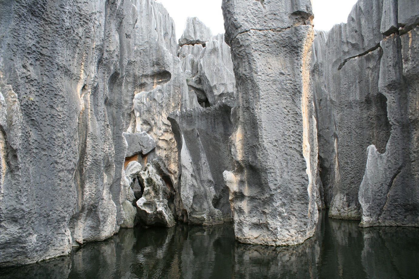 Stone Forest 7