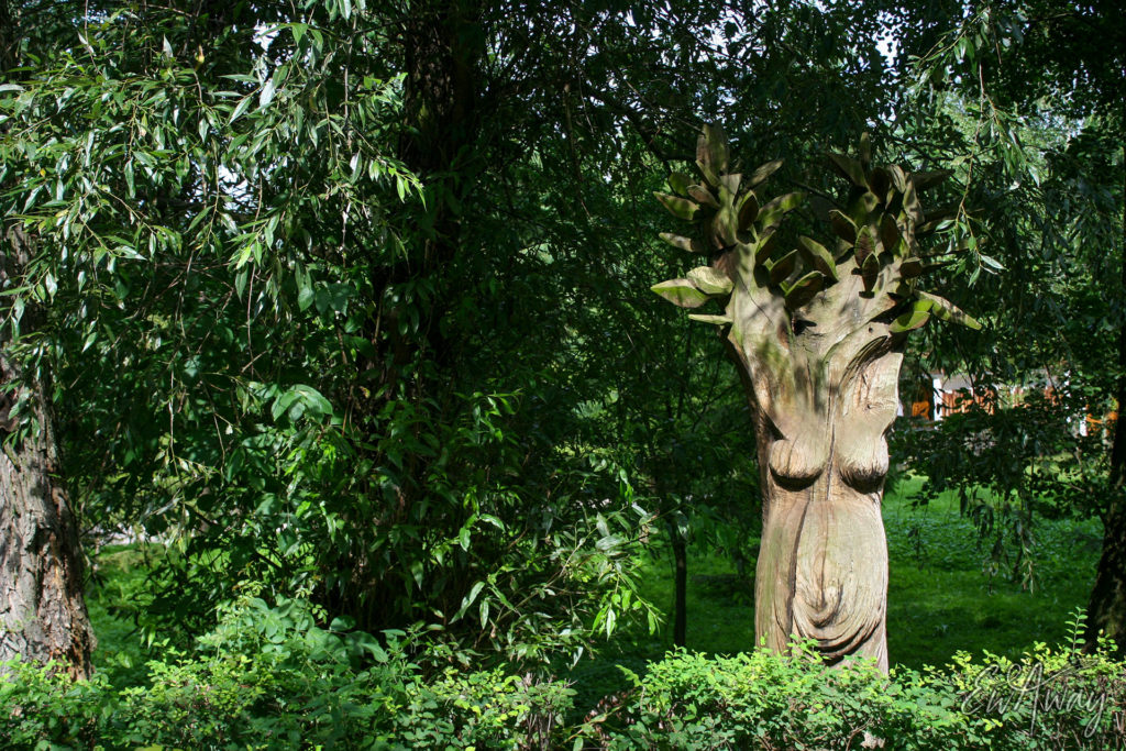 Biskupin - rezerwat archeologiczny od środka