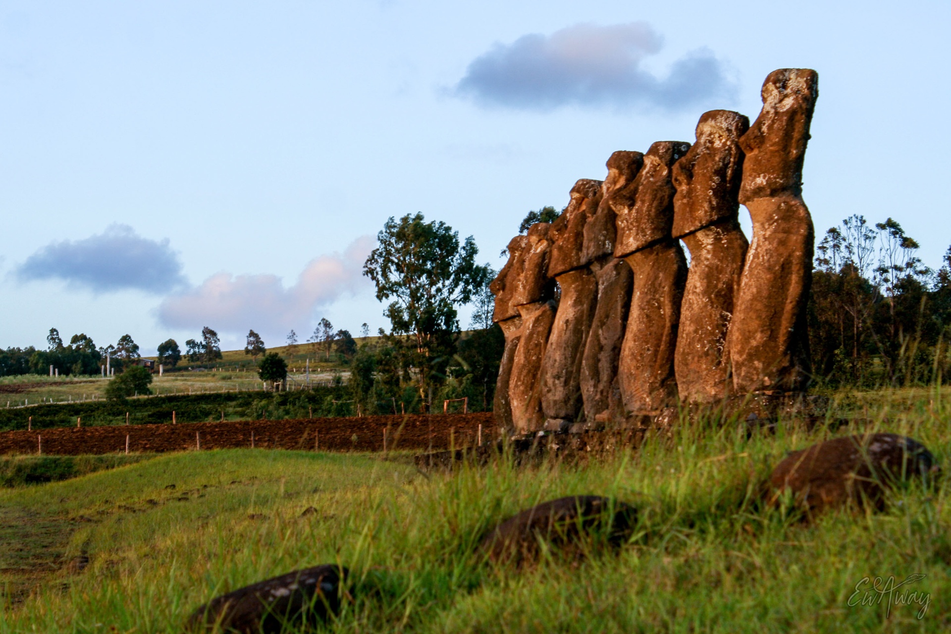 Wyspa Wielkanocna co zobaczyć - posągi
