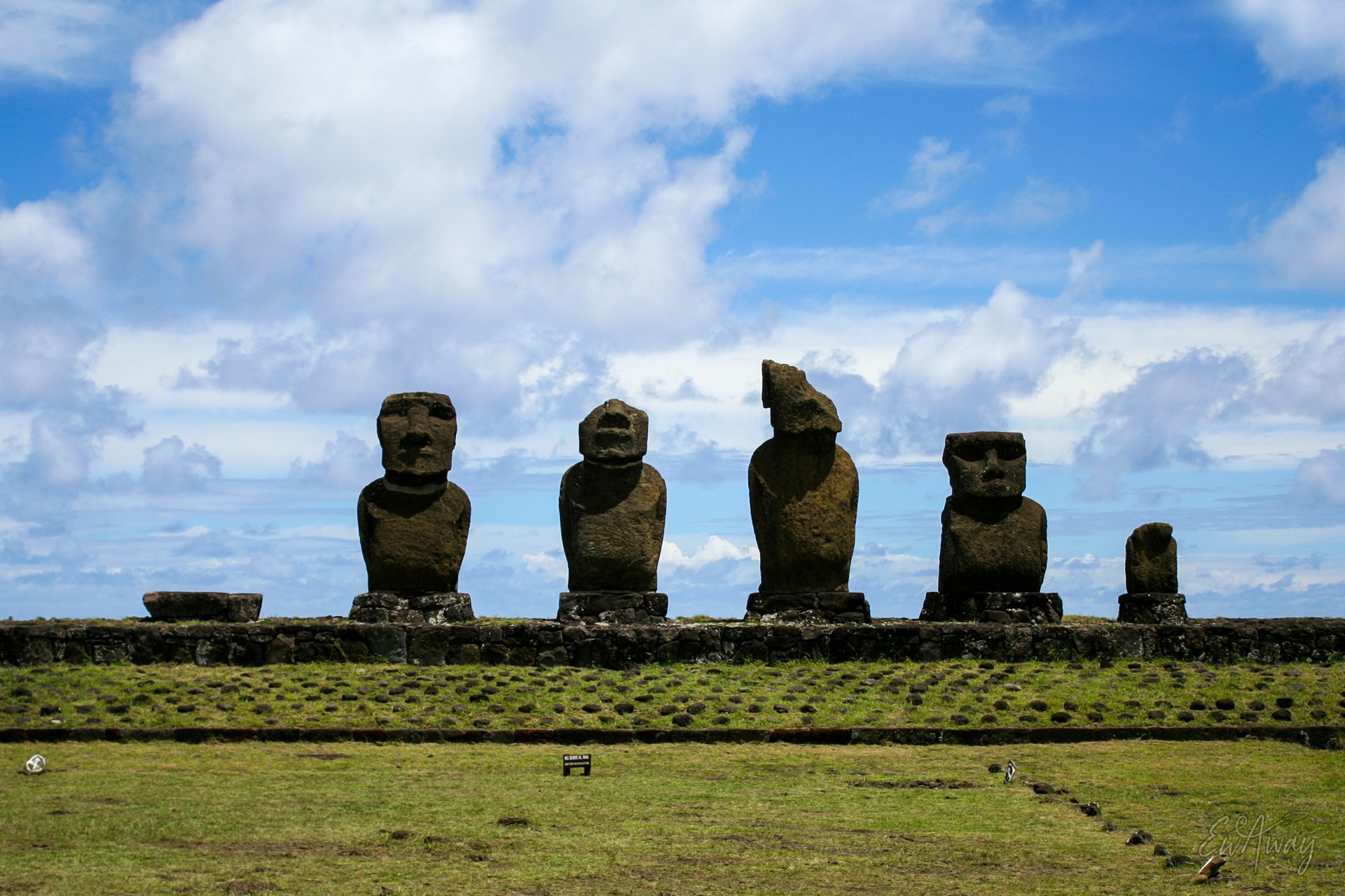 Wyspa Wielkanocna co zobaczyć - posągi na ahu