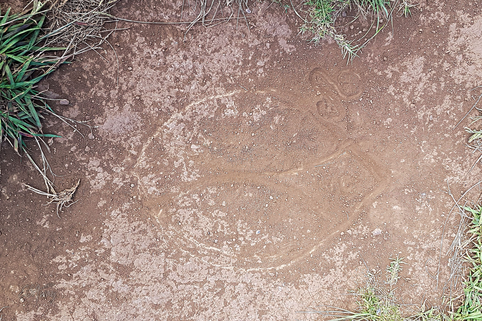 Wyspa Wielkanocna co zobaczyć - komari - srom