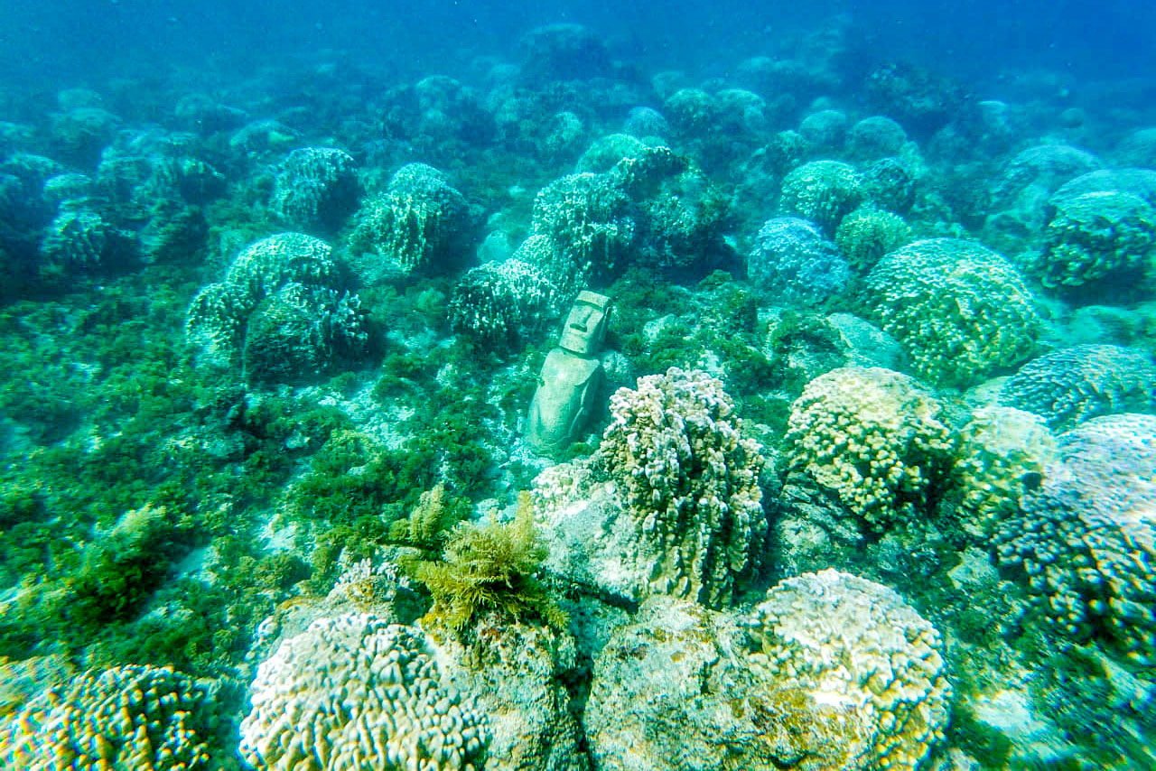 Wyspa Wielkanocna co zobaczyć - rafa koralowa