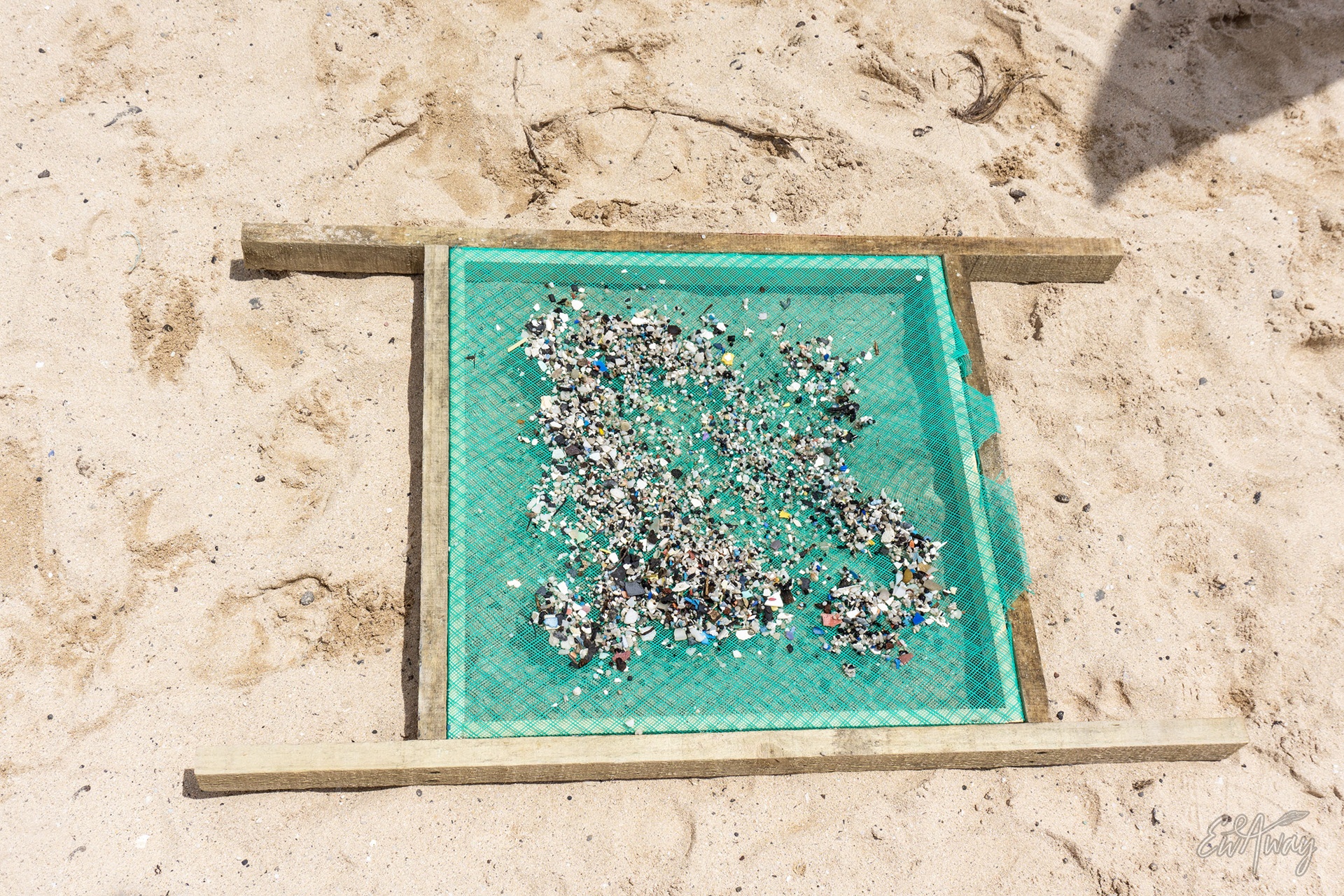 Wyspa Wielkanocna co zobaczyć - problem ekologiczny