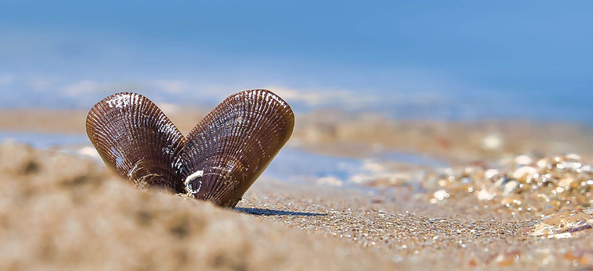 Jak łączyć się ze sobą